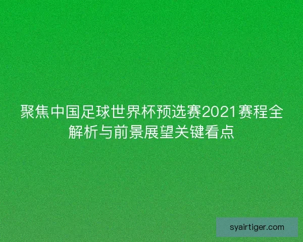 聚焦中国足球世界杯预选赛2021赛程全解析与前景展望关键看点