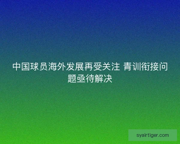 中国球员海外发展再受关注 青训衔接问题亟待解决 中国球员海外发展再受关注 青训衔接问题亟待解决