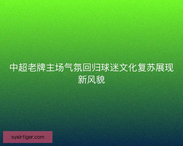 中超老牌主场气氛回归球迷文化复苏展现新风貌 中超老牌主场气氛回归球迷文化复苏展现新风貌